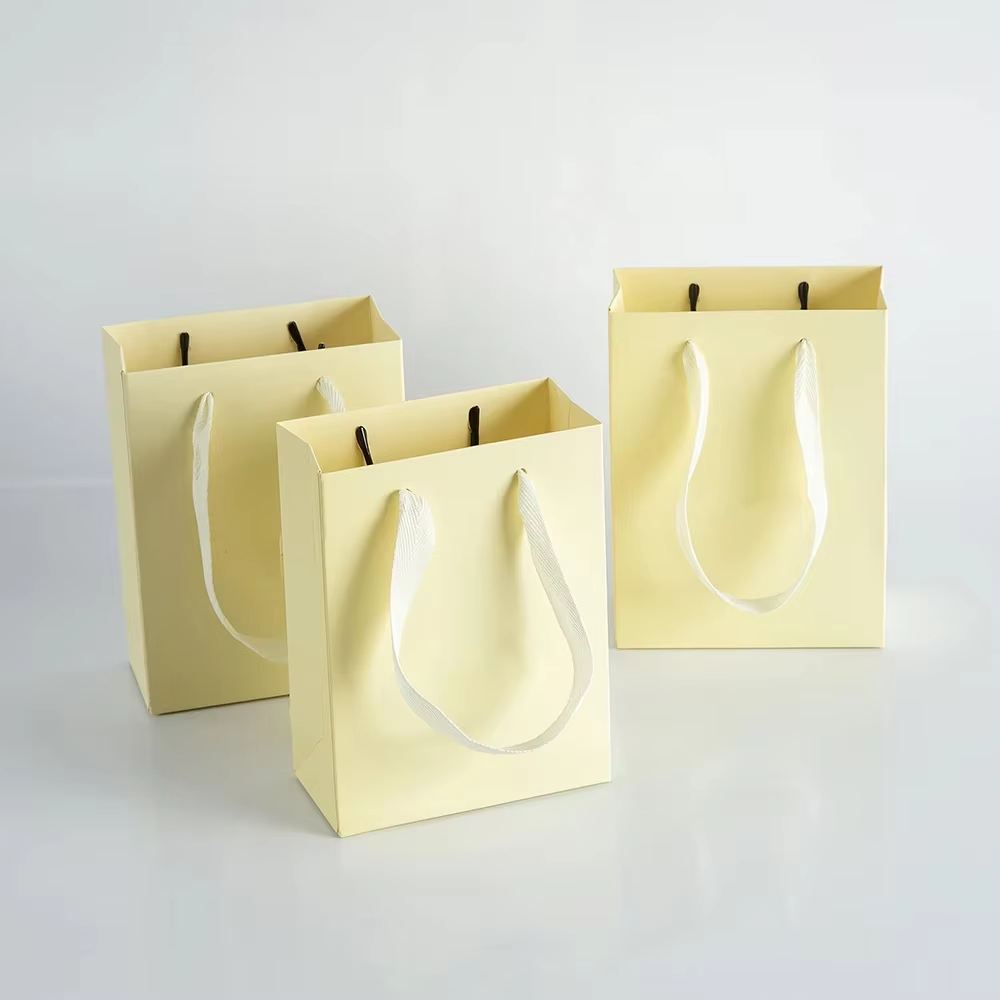 10Pcs Portable Paper Handle Ba - Shop Jewelry & Watches Near Me review and price